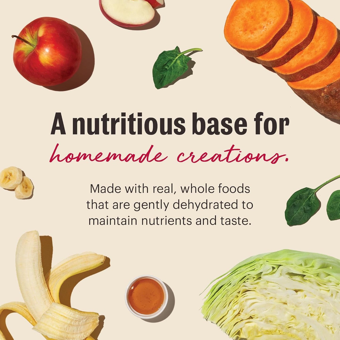 The Honest Kitchen Wholemade™ Dehydrated Grain Free Fruit & Veggie Base Mix Dog Food (Just Add Protein), 3 lb Box