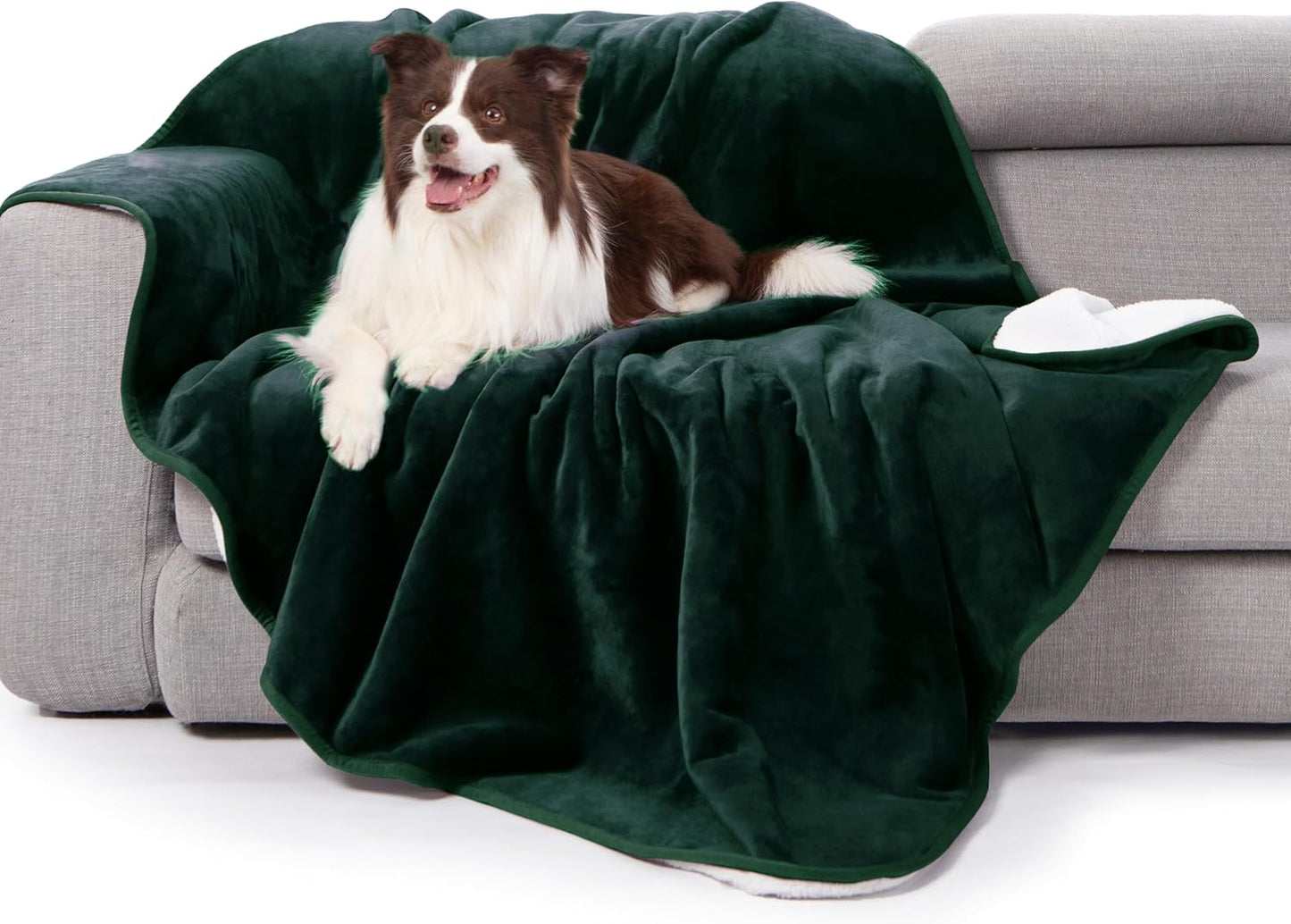 gogobunny Waterproof Bed Blanket, Reversible Sherpa Fleece Throw Blanket for Dog Puppy Cat, Furniture Cover Protects Bed Couch Sofa from Liquid Pee and Pet Fur (Forest Green, 50x60 inches)