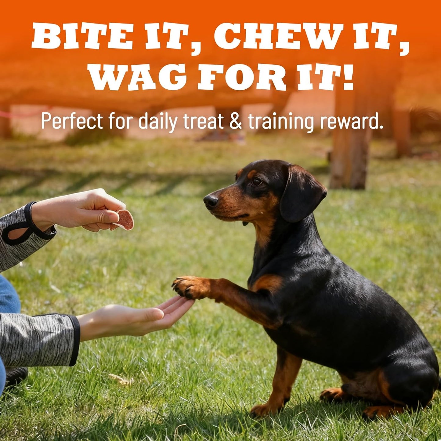 14.1 oz Chicken Sushi Rolls Soft Dog Treats Chewy Dog Training Treats with Cod Skin High Protein Dog Snacks for All Dogs