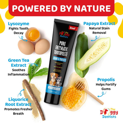 Vet Strength Pure Enzymatic Dog & Cat Toothpaste | 3.5oz Beef Flavor | Enzyme Pet Toothpaste for Tartar Removal, Bad Breath, Teeth Cleaning | Suitable for Puppies & Kittens