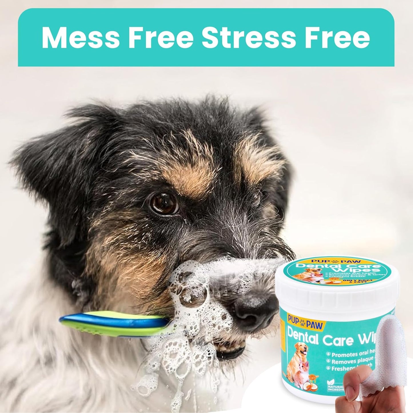 Premium Dog Teeth Cleaning Wipes - All Natural dog Toothbrush & Tooth Brushing Kit - Pet Dental Finger Wipes for cats & dogs - Freshens Breath, Reduces Tartar & Plaque - All in one finger wipes (50)