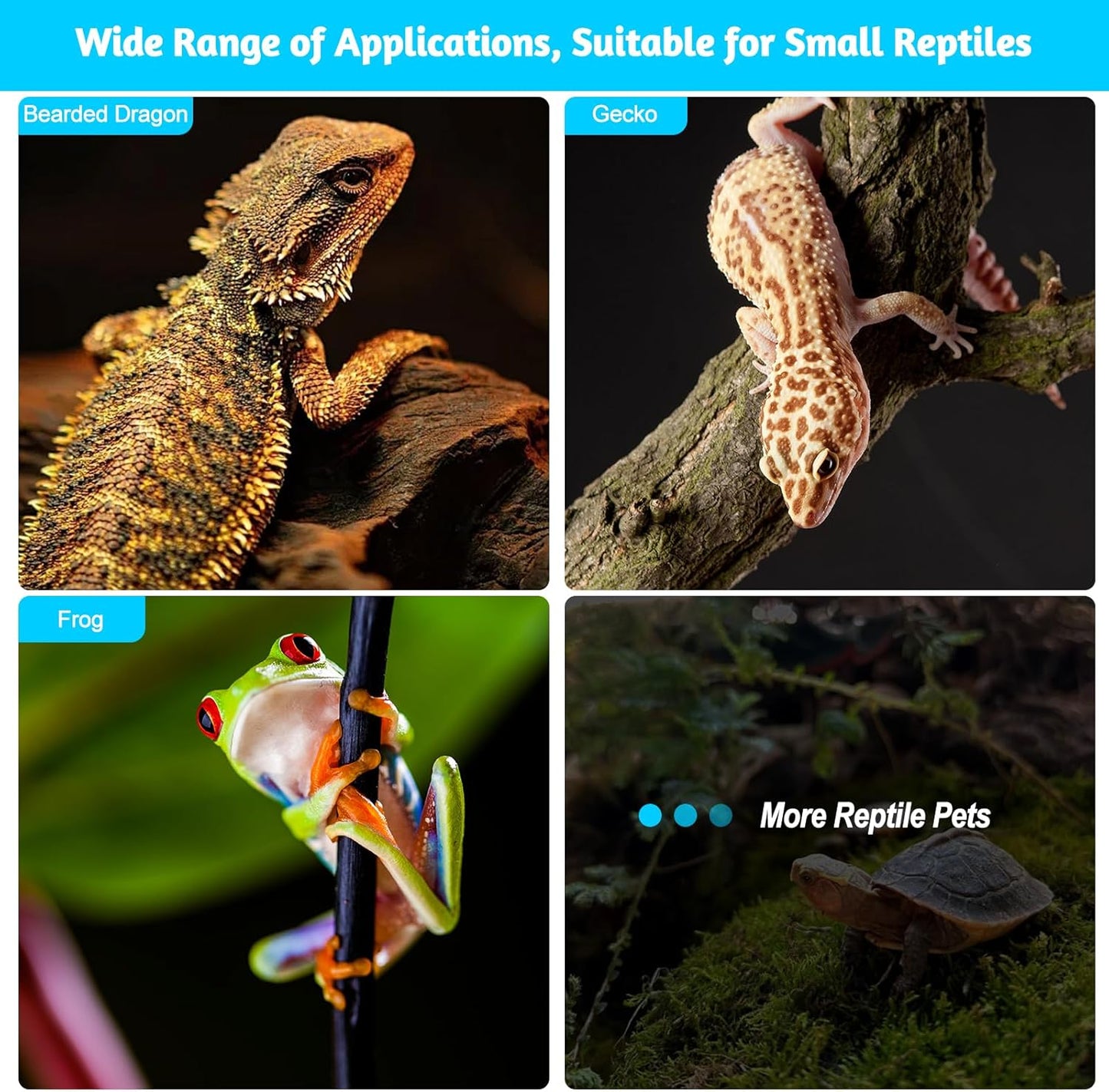 46PCS Glow in the Dark Bearded Dragon Rock Climbing Holds,Reptile Rock Climbing Wall,Bearded Dragon Enrichment Toys,Bearded Dragon Tank Accessories,Climbing Wall Grips for Bearded Dragon,Gecko,Lizard