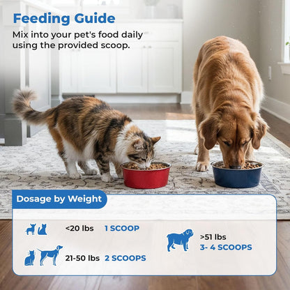 | S boulardii + FOS for Dogs and Cats | Probiotic and Prebiotic Powder | Support Gut Health, Diarrhea | 60g