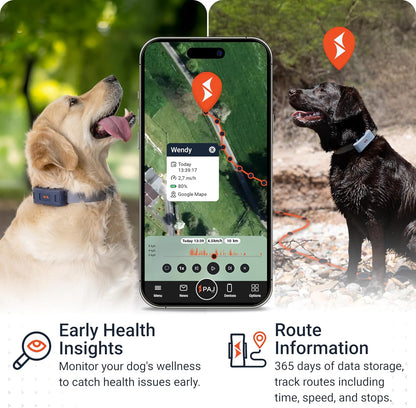 PAJ GPS Dog Tracker - 4G Real-Time Tracking & Runaway Alerts - Waterproof, Long-Range, Smart App Monitor Health & Activity - Fits Any Collar, Mini Device Navigator Chip - Subscription Required - Black