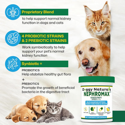 NEPHROMAX™ Synbiotic Capsules Dogs Cats (240 Caps)- Kidney Support Supplement for Cats & Dogs, Probiotics & Prebiotics for Digestive Health, Small & Easy-to-Swallow Capsules Made in The USA