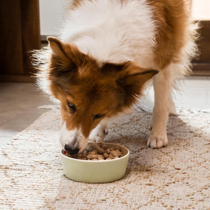 Open Farm, Freeze Dried Raw Dog Food, Morsels with 95% Meat, Organs & Bone, Organic Produce & Superfoods, Complete Meal or Freeze Dried Dog Food Topper, Grass-Fed Beef Recipe, 13.5oz Bag