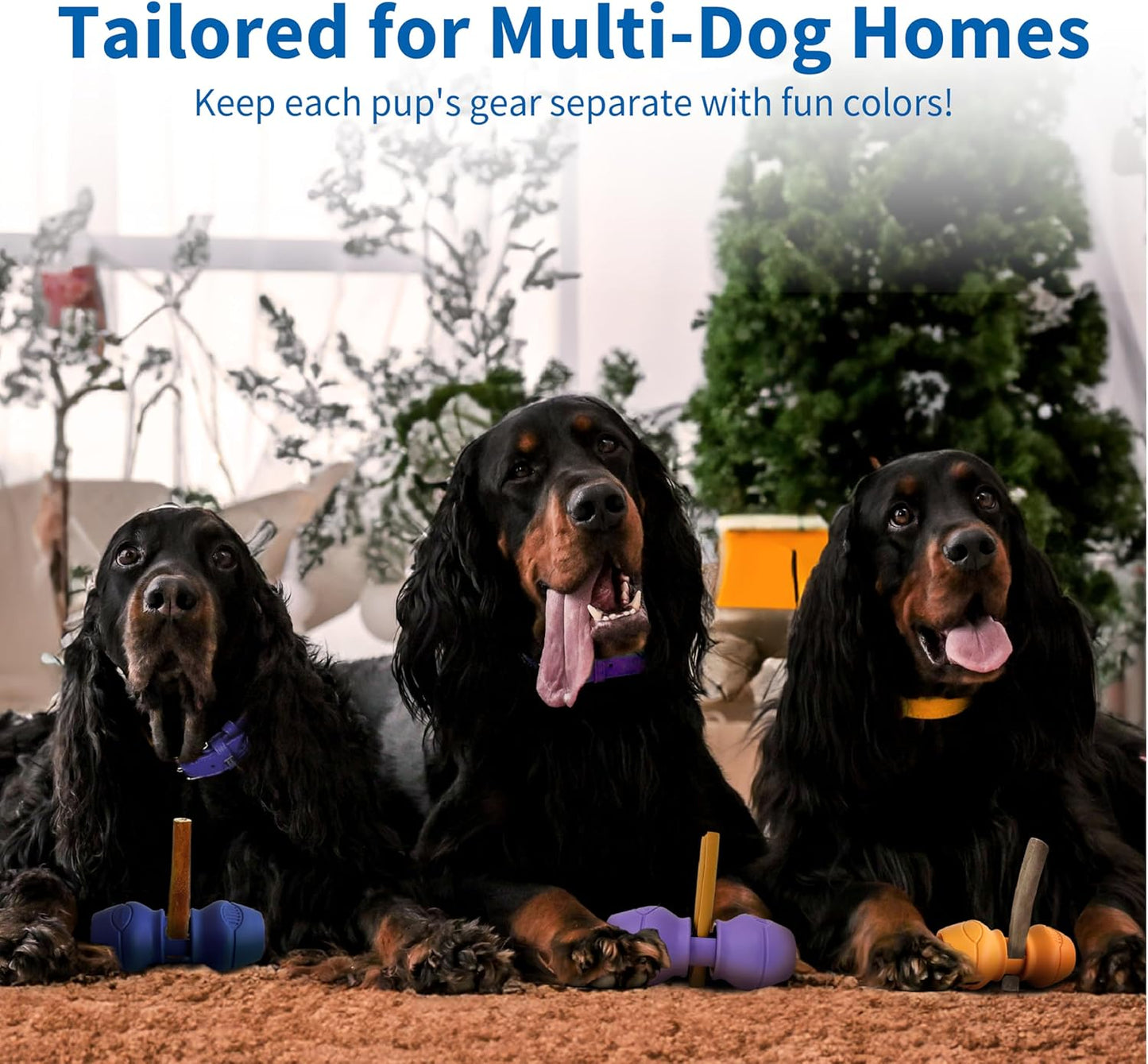 Chewise Bully Stick Holder, Improved Bully Sticks Holder, Ultimate Secure Heavy Duty, BPA-Free Safety Device to Prevent Choking, Fits Various Bully Sticks and Dog Sizes