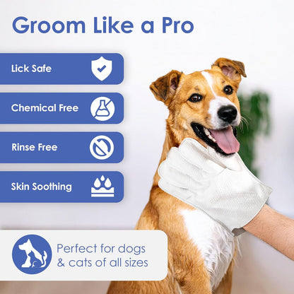 AKC Coconut-Scented Pet Bathing Gloves – 6-Pack Deodorizing & Cleaning Wipes for Dogs & Cats – Gentle, Hypoallergenic, No-Rinse Grooming Mitts for Sensitive Skin, Quick Cleanups & Travel
