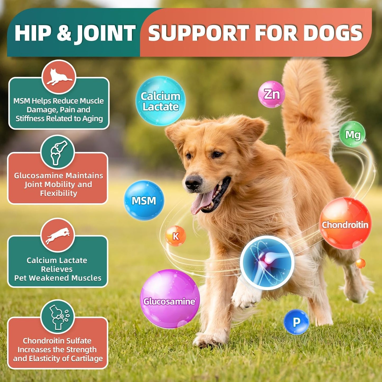 Dog Multivitamin, Dog Vitamins and Supplements, Multivitamin for Dogs with Glucosamine, Probiotics & Omega 3 for Joint, Digestive, Skin, Coat and Immune Health, Chicken Flavor - 180 Bites