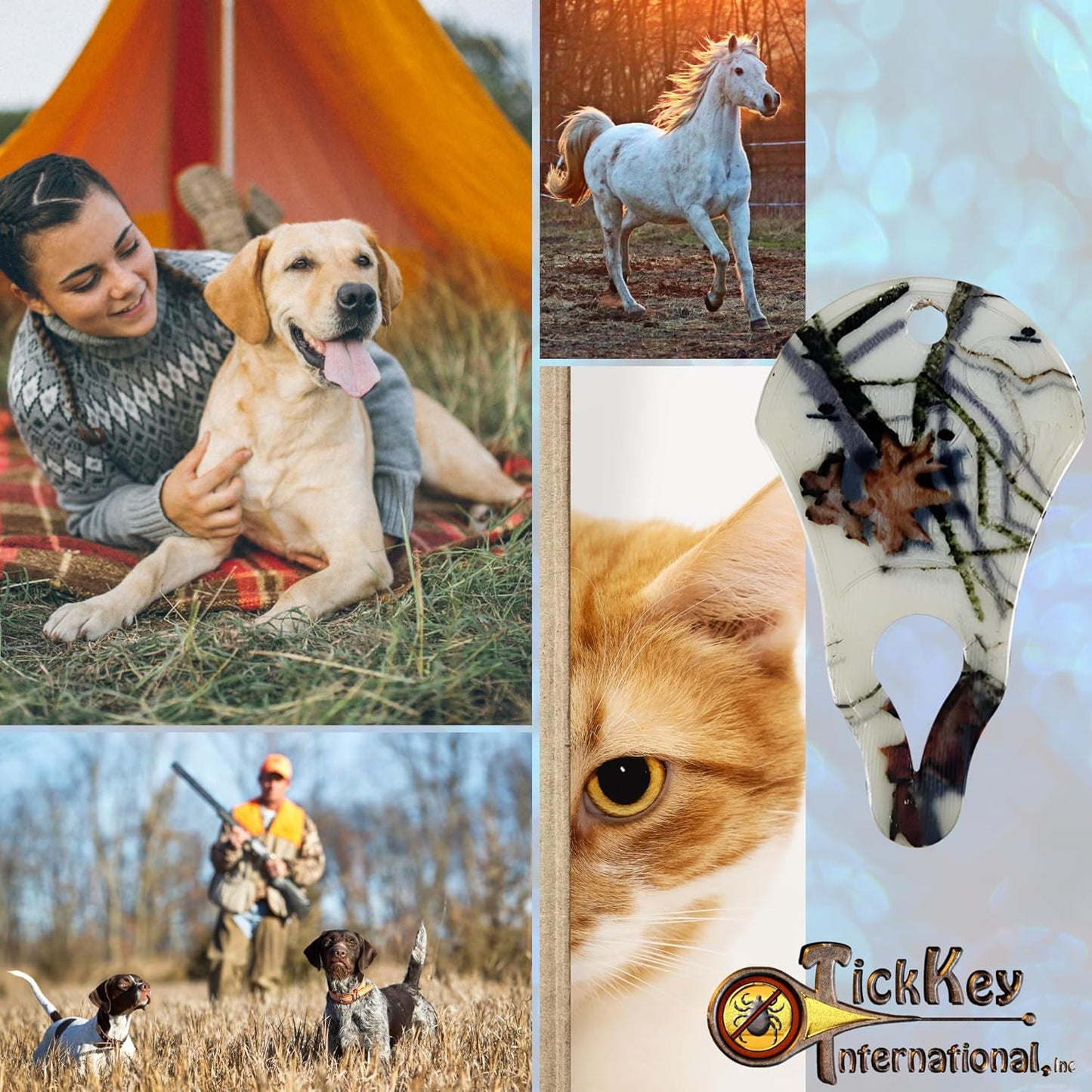 The Original Tick Key - Tick Detaching Device - Portable, Safe and Highly Effective Tick Detaching Tool (Country Roots Snow)