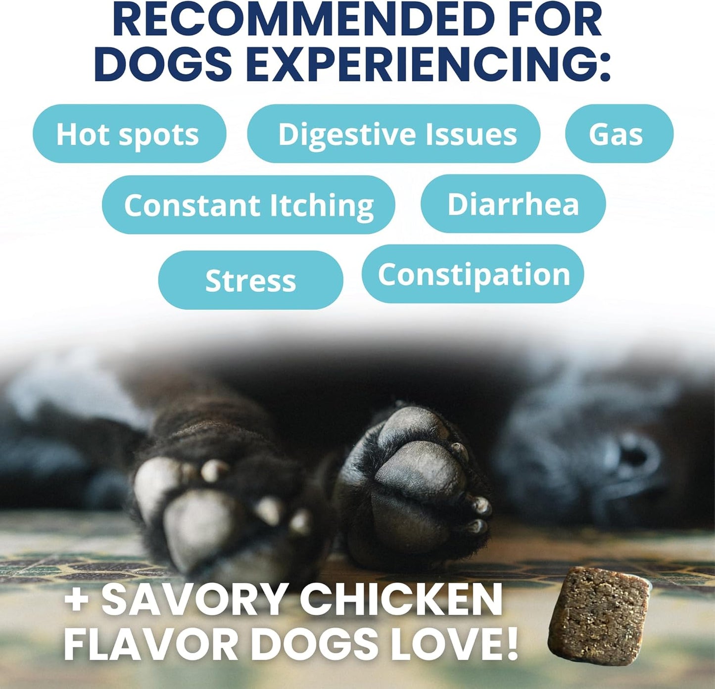 Under the Weather Probiotic Chews for Dogs | Daily Probiotics and Prebiotics for Digestive Health Gut | Balance and Immune Support | Vet Formulated Dog Digestive Supplement | Chicken Flavor | 60 Count