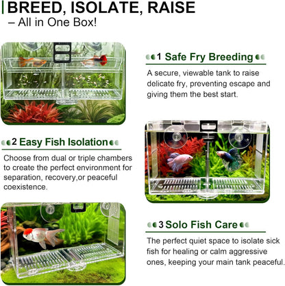 Triple-Chamber Aquarium Fish Breeder & Isolation Box, Transparent Hatching Incubator Tank with Suction Cups & Hook, Nursery for Livebearer Guppy Fry Breeding and Betta Fish, Shrimp Quarantine