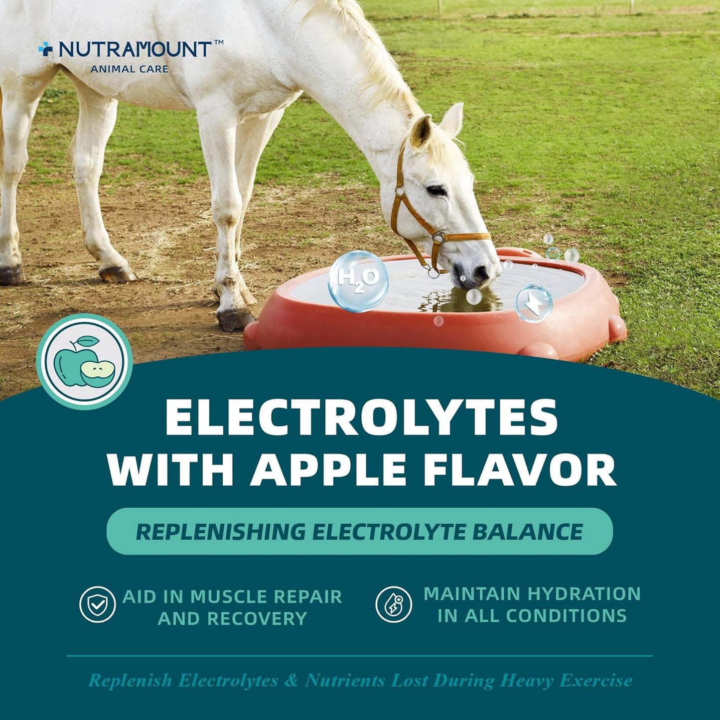 Equine Electrolytes Supplement with Apple Flavor, Replenish Lost Minerals & Support Hydration for Horses During Training, Hot Weather or Travel – 840g