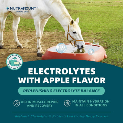 Equine Electrolytes Supplement with Apple Flavor, Replenish Lost Minerals & Support Hydration for Horses During Training, Hot Weather or Travel – 840g