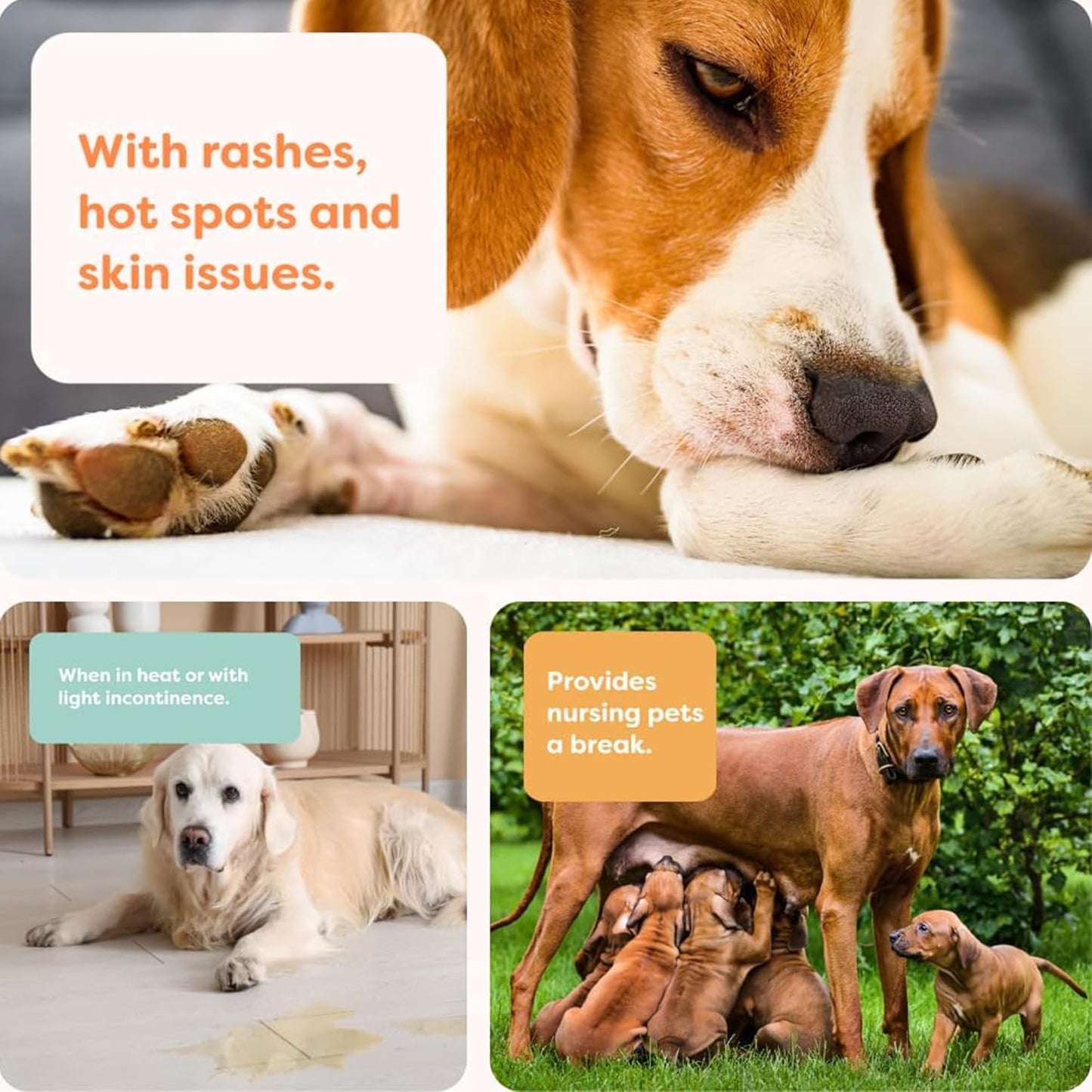 Suitical Recovery Suit for Dogs - XL Black - Dog Surgery Recovery Suit with Clip-Up System, Breathable Fabric for Spay, Neuter, Skin Conditions, Incontinence, 29.1–32.3 in Neck-to-Tail