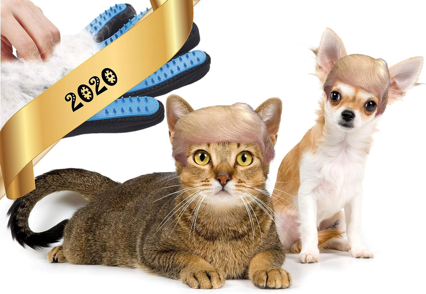 Angeles 8 Upgrade Version Pet Hair Removal Grooming Glove - Dog & Cat Brush Glove for Shedding - Pet Hair Remover Mitt - Dog & Cat with Long & Short Hair (Right Hand only)