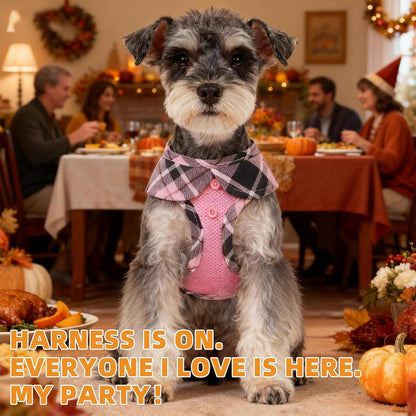 KOOLTAIL Small Dog Harness and Leash Set, Step in No Pull Soft Mesh Padded Pet Vest Harness Collar for Extra Small Size Dogs Cats Boy Girl, Breathable & Lightweight Plaid Puppy Harness, Pink XS