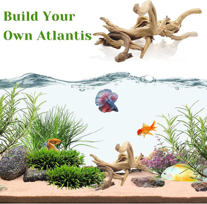 Tfwadmx Natural Driftwood for Aquarium, 11-13 inch Reptile Branches Terrarium Wood Aquarium Trunk Driftwood Tree Fish Tank Log Decoration Pack of 2