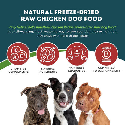Only Natural Pet RawMeals Chicken Recipe Freeze-Dried Dog Food - High-Protein, Grain-Free, with Organ Meat, Fruits & Veggies - Complete Meal, Topper, or Treat for All Breeds & Picky Eaters - 9.5 oz