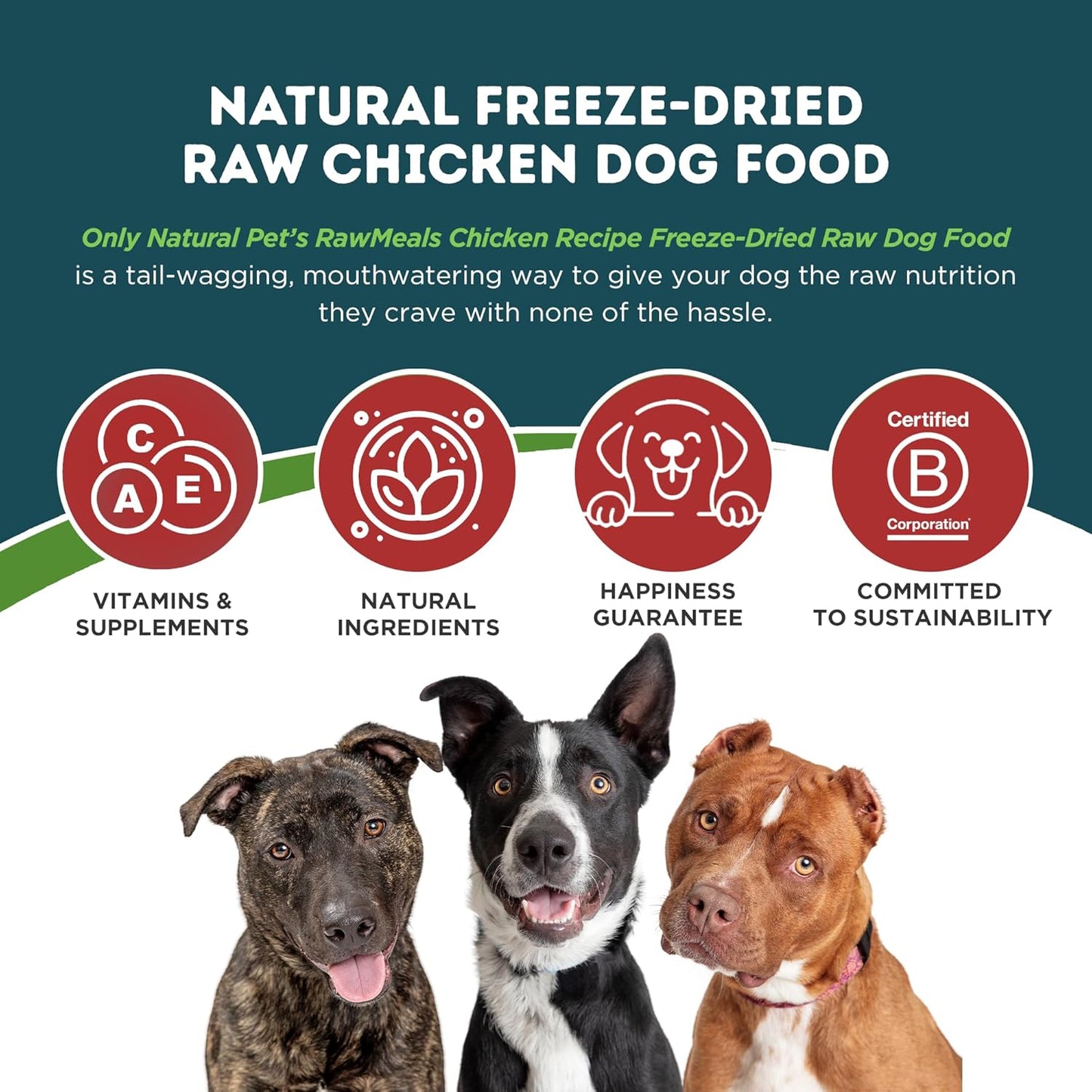 Only Natural Pet RawMeals Chicken Recipe Freeze-Dried Dog Food - High-Protein, Grain-Free, with Organ Meat, Fruits & Veggies - Complete Meal, Topper, or Treat for All Breeds & Picky Eaters - 9.5 oz