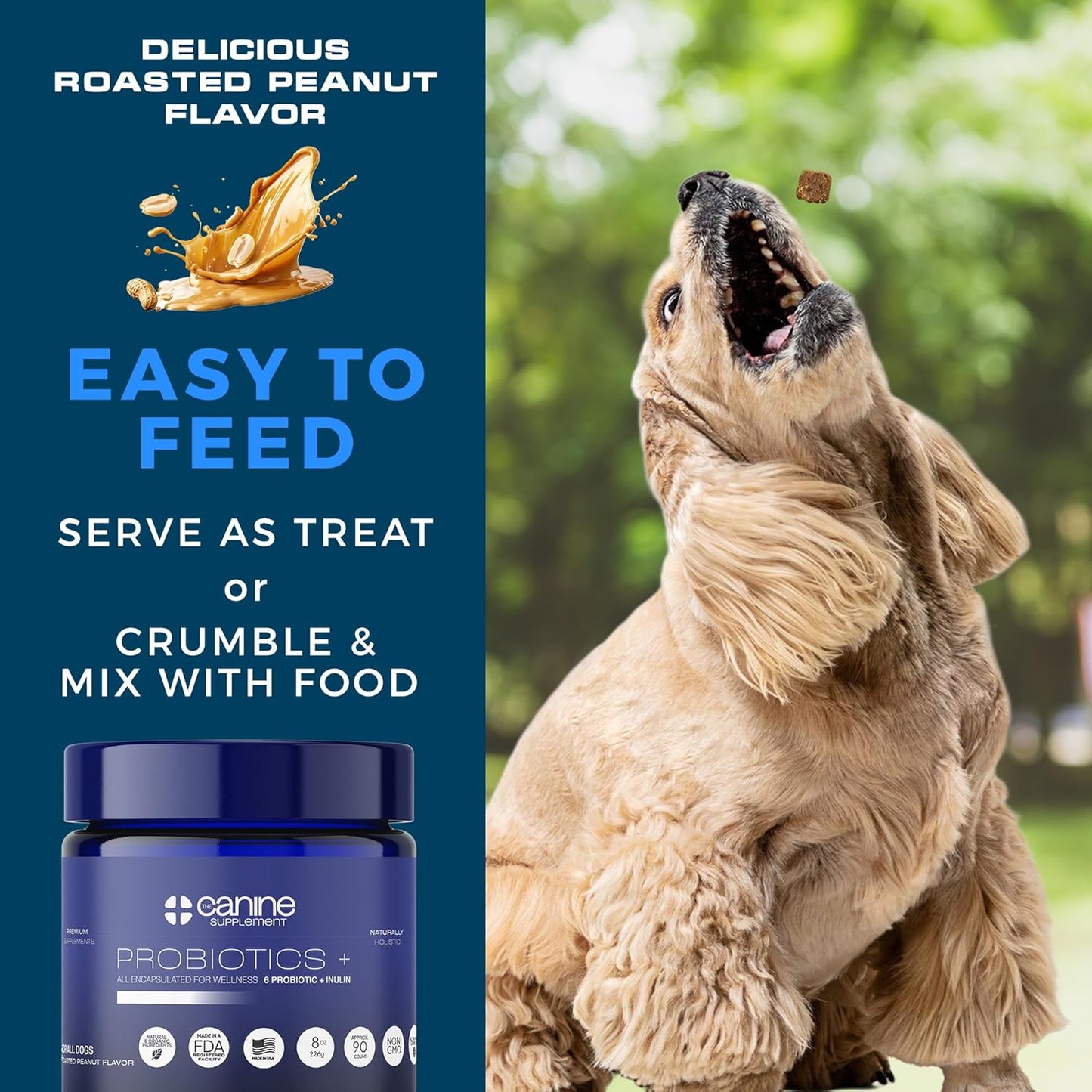 Probiotics for Dogs | Soft Chews with Digestive Enzymes, Pumpkin & Prebiotics | Supports Gut Health, Immunity, Stool Quality & Nutrient Absorption | Peanut Flavor, 90 Count