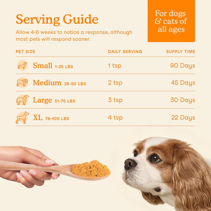 Fera Pets Cat & Dog Pumpkin Plus - Fiber Supplement - USDA Organic - Supports Gut & Digestive Health - Promotes Regularity - 7 Sources of Fiber - 90 Scoops