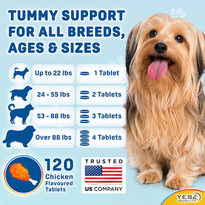 Dog Probiotics - Prebiotic & Probiotic Chews for Dogs - May Support Immunity, Digestive & Gut Health, Diarrhea, Flatulence Relief & Upset Stomach - 120 Chicken Flavored Tablets