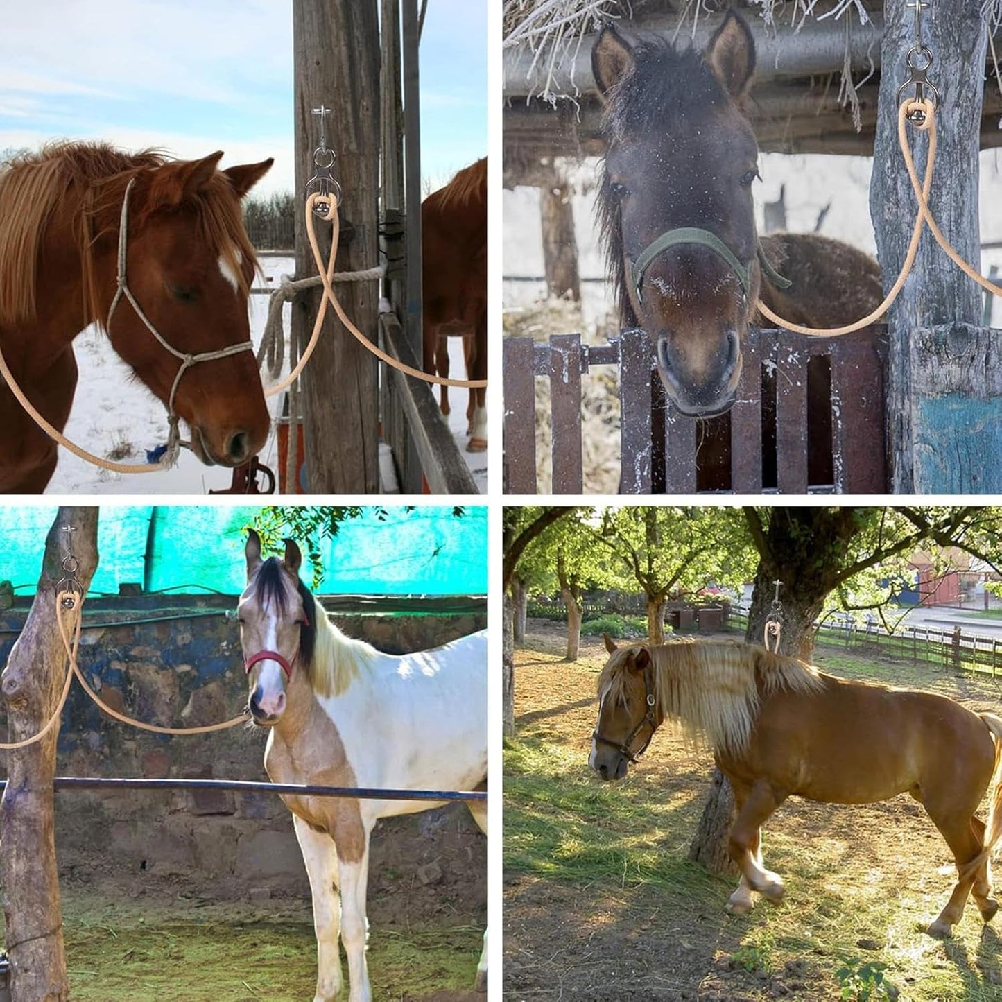 Horse Trailer tie Ring - Stainless Steel Heavy Duty Pull Back Release | Horse tack and Supplies,Indoor Outdoor Stall Stable for Horse Care