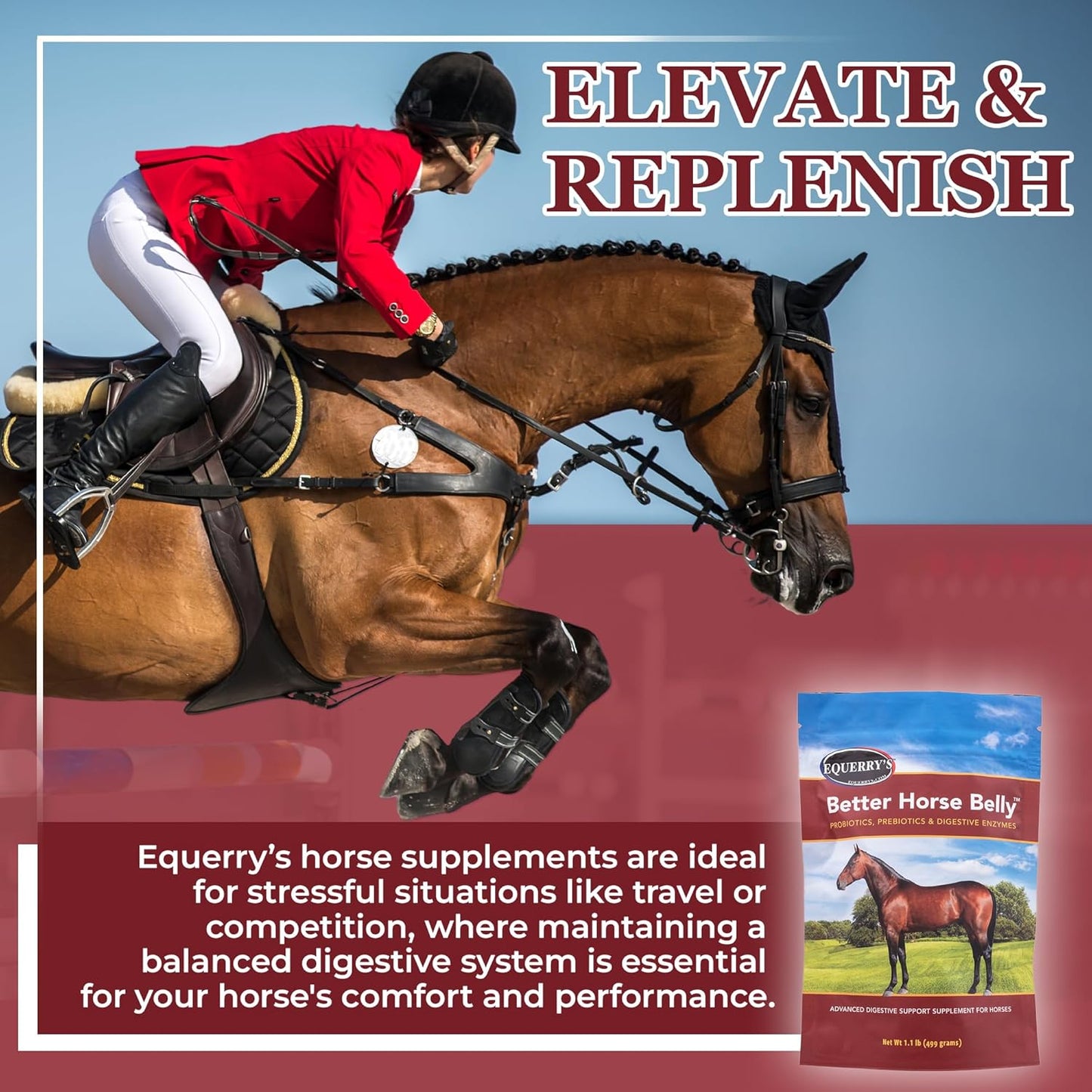 EQUERRY'S Better Horse Belly – Gut Support Supplement with Probiotics, Prebiotics & Digestive Enzymes | for Colic and Digestive Upset, 1.1LB