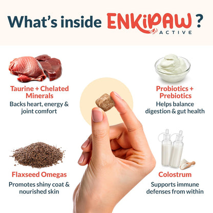 9-in-1 Senior Dog Supplement Multivitamin - Soft Dog Chews Treats for Joints, Energy, Digestion, Immunity | Probiotics, Colostrum, Omegas, Taurine – Duck Flavor - 120 Chewables