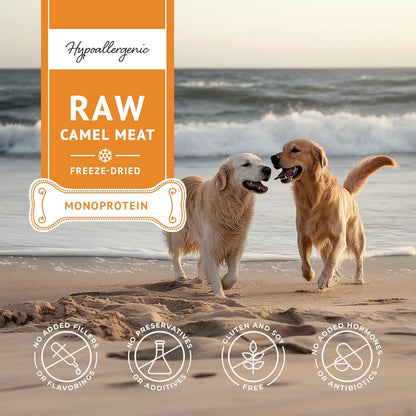 Freeze Dried Raw Dog Food, 100% Camel Meat, Allergy Relief, Monoprotein, Training Treats, Single Ingredient, for Puppies, Adults and Seniors, 3.17 oz Bag (3.17 oz, Pure Camel Meat)