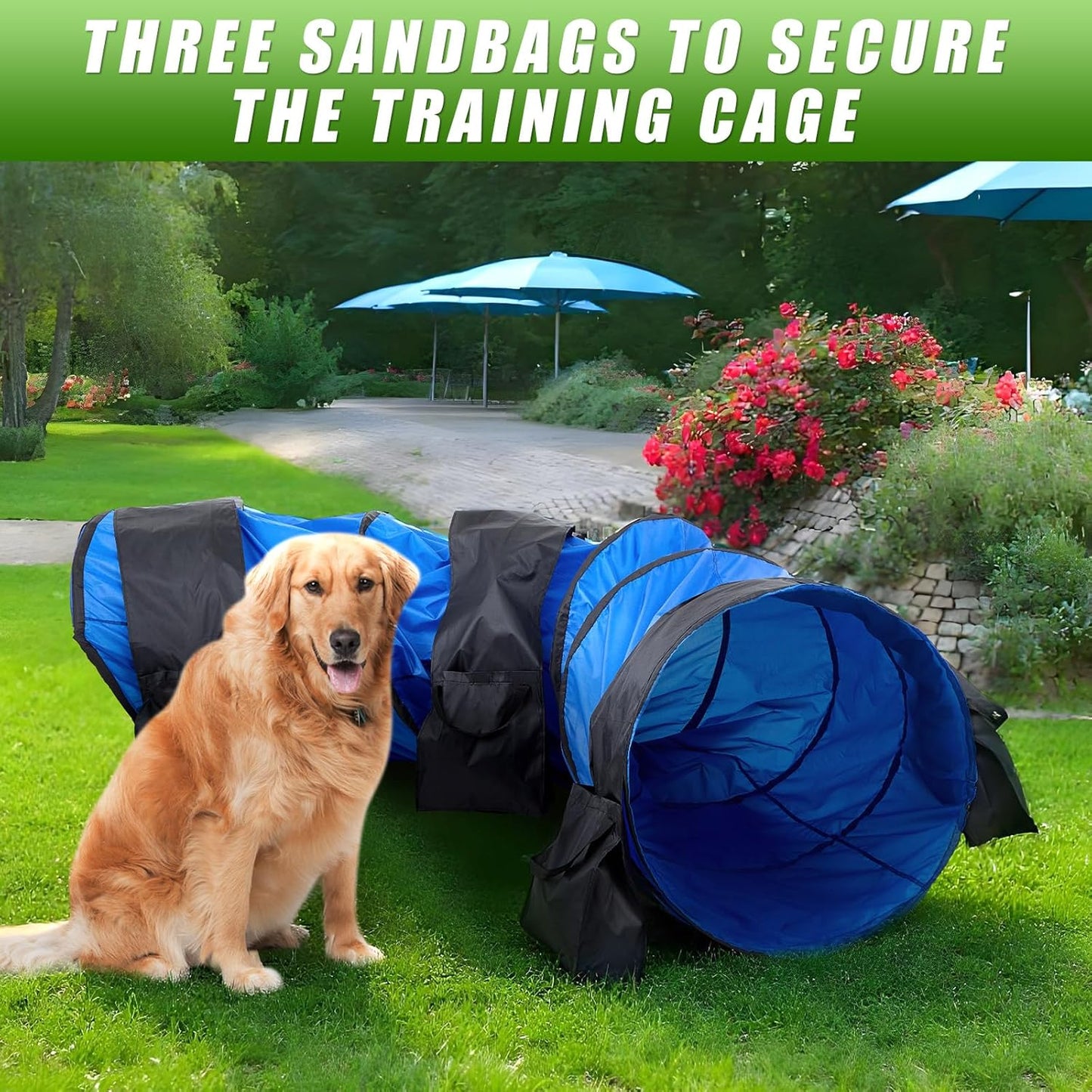 28 in Extra Large Dog Agility Tunnel with Sandbags 10 Foot Dogs Agility Training Equipment Tunnel with 3 Pack Sandbags Carry Bag and 4 Ground Spikes for All Medium and Large Dogs