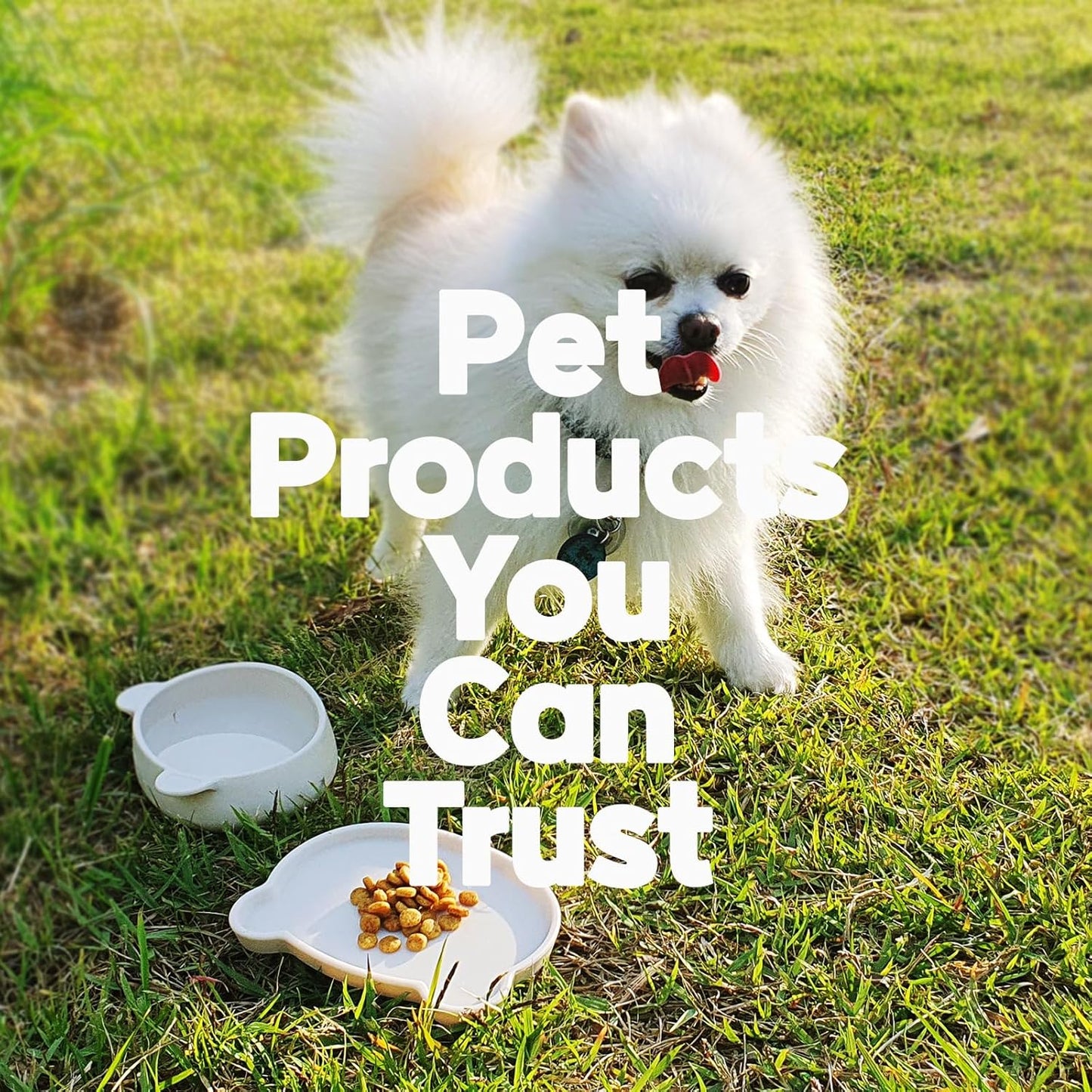 Platinum Silicone Dino Plate Set, Wellbeing Pet Bowl, Premium, Odorless, BPA-Free, Food-Grade, Non-Slip, Microwave & Dishwasher Safe, Sensitive Stomach, Eco-Friendly Travel Bowl (Cream)