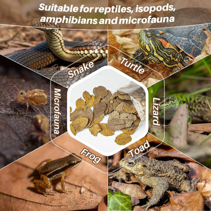 MAQIHAN 7 OZ Dry Oak Leaf Litter - Leaf Litter for Reptiles Oak Leaves for Isopods Live Substrate for Snakes, Frogs, Isopods, Terrarium Bedding