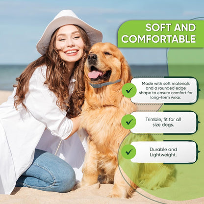 4 Pack Flea and Tick Collar for Dogs, 8-Month Protection, Flea Tick Prevention for Dogs (Gray Collar, 4 Pack)