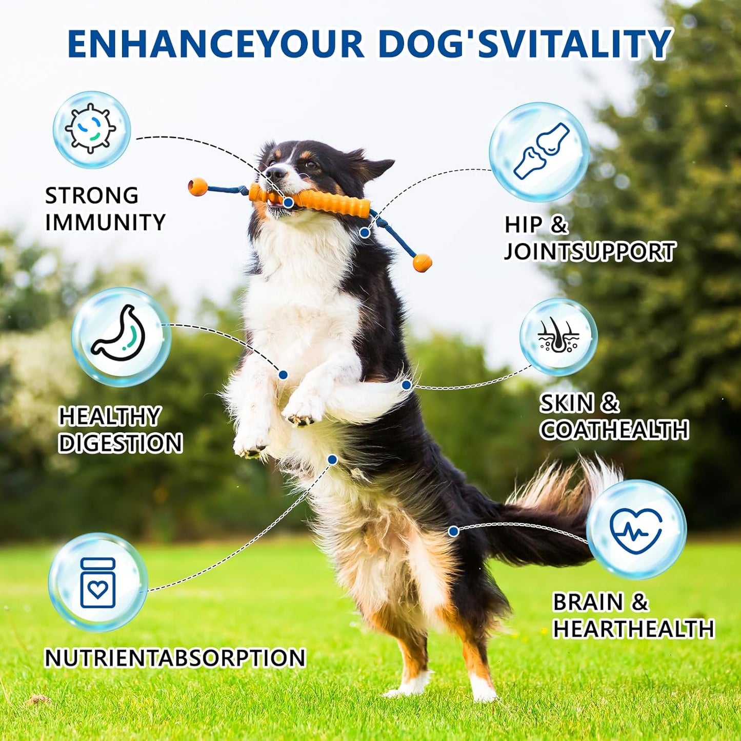 40-in-1 Dog Vitamins and Supplements, Dog Multivitamin Chewable with Glucosamine MSM - Turkey Tail Mushroom, Digestive Enzymes Gut Probiotics, Hip & Joint, Omega-3 Skin & Coat Eyes Immune Support