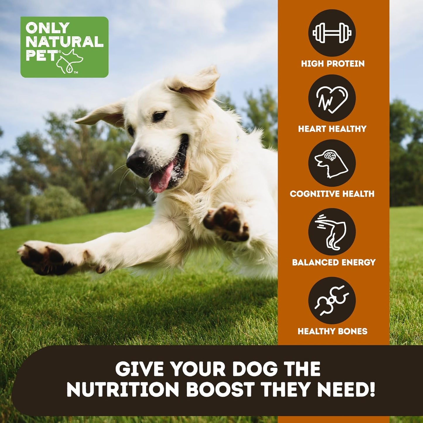 Only Natural Pet Raw Toppers Freeze Dried Beef and Tripe Recipe - Protein Packed, Great Tasting Freeze Dried Raw Food Topper for Dogs - 5.5 OZ Bag 2 Pack (B)