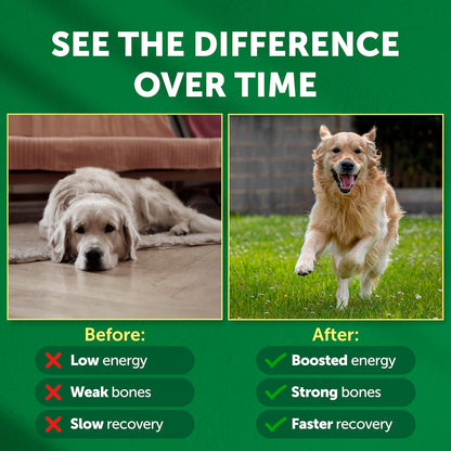 Nature's Protection Dog Joint Supplement - Mineral Powder Supplement for Pet Muscle Recovery, Stronger Bones, Immune & Gut Health for Dogs & Cats of All Breeds, 9 Oz