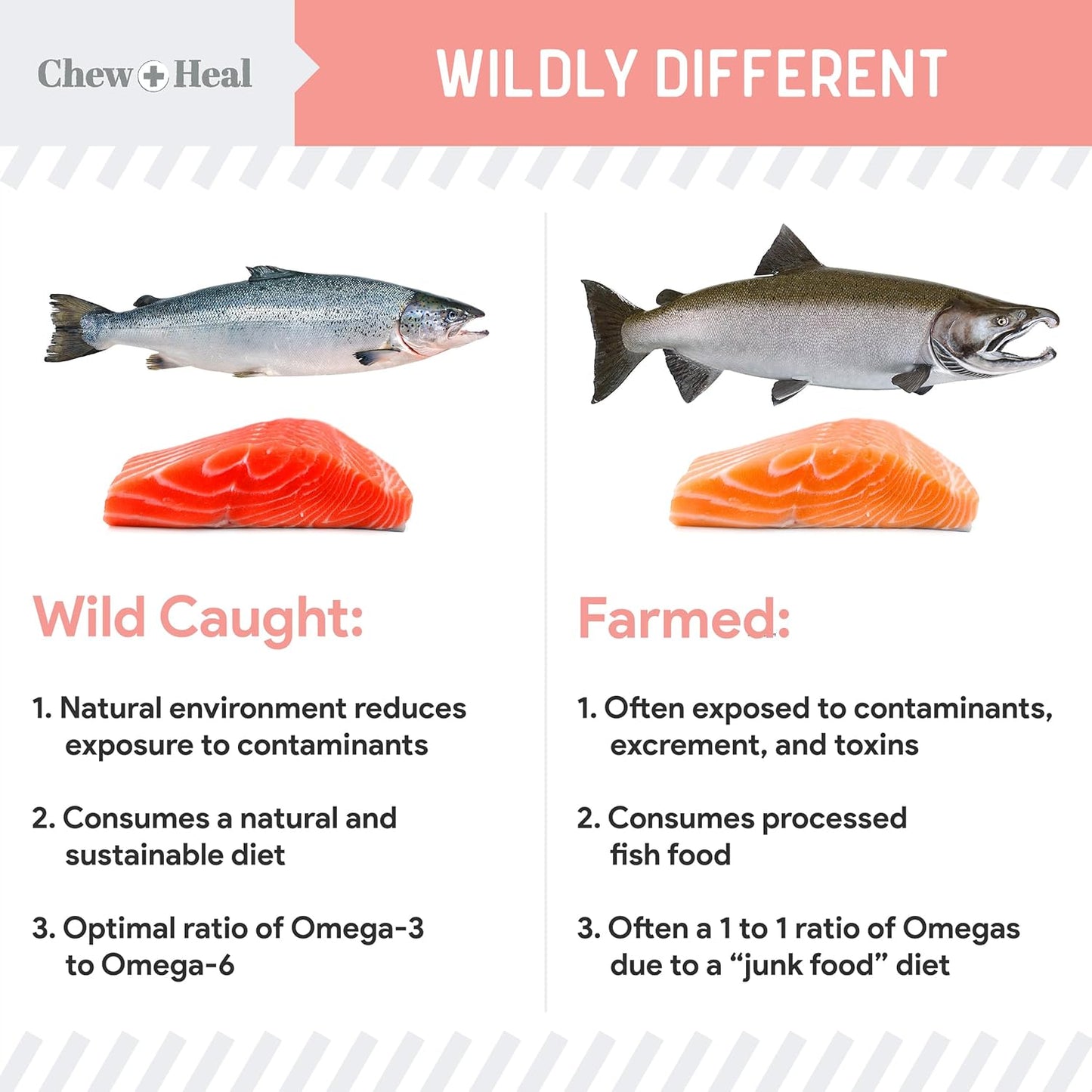 Wild Alaskan Salmon Fish Oil for Dogs - 32 oz. of Fish Oil Formula - Pump Cap Bottle - Contains Omega-3 and 6, Vitamin D, EPA, and DHA for Healthy Skin and Coat