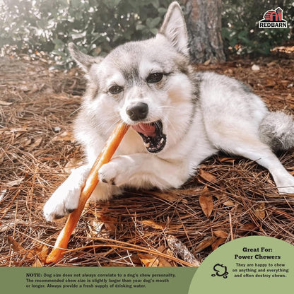 Redbarn Pet Products All-Natural Large 12" Beef Collagen Sticks for Dogs - Long Lasting Low-Odor Alternative to Traditional Rawhide & Bully Sticks - Supports Healthy Joints, Skin, & Coat - 3 Pack