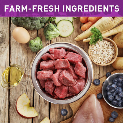 PURPOSE Freeze Dried Raw Dog Food, Grain Free Dry Dog Food, Complete Balanced Meal or Topper, Protein Rich Entree for All Breeds and Life Stages, Turkey & Veggie Recipe, 14 oz, USA Made