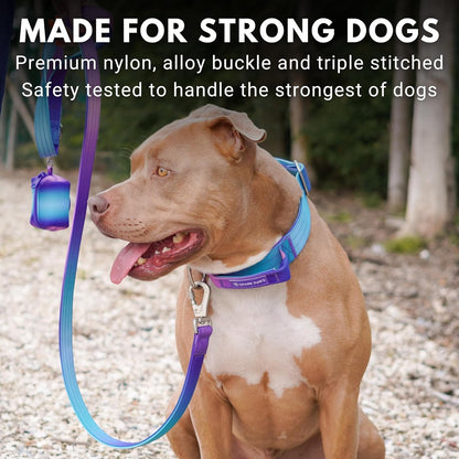 Spark Paws Tactical Dog Collar - Heavy Duty, Premium Quality, Thick and Durable for Large and Medium Dogs - 90s Retro - S - 1.5"