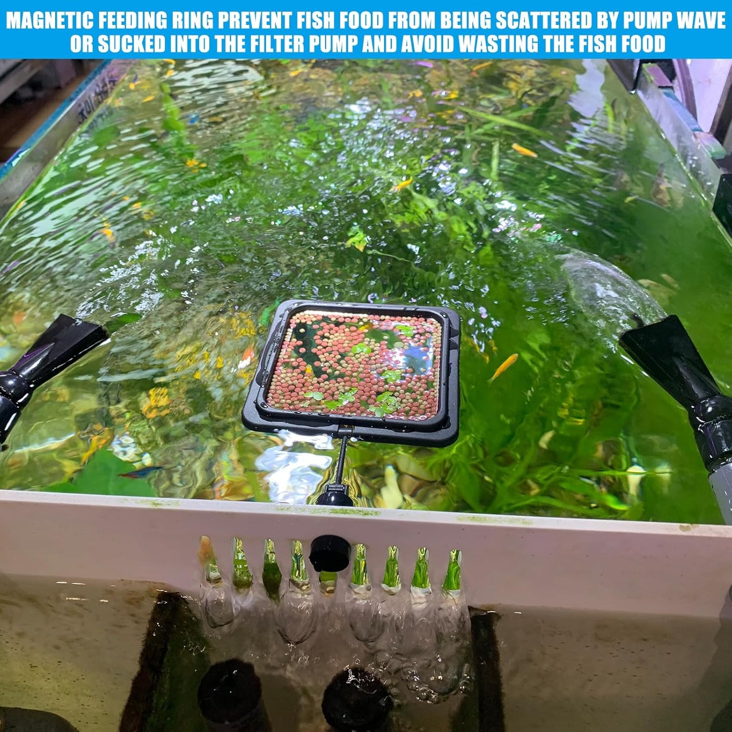 Magnetic Fish Feeding Ring, Floating Aquarium Feeder Ring for Fish Tank，Betta Feeding Ring for Goldfish, Guppy, Fresh/Saltwater Tanks- Prevents Food Scattering and Anti-Falling Off（Patented Product）