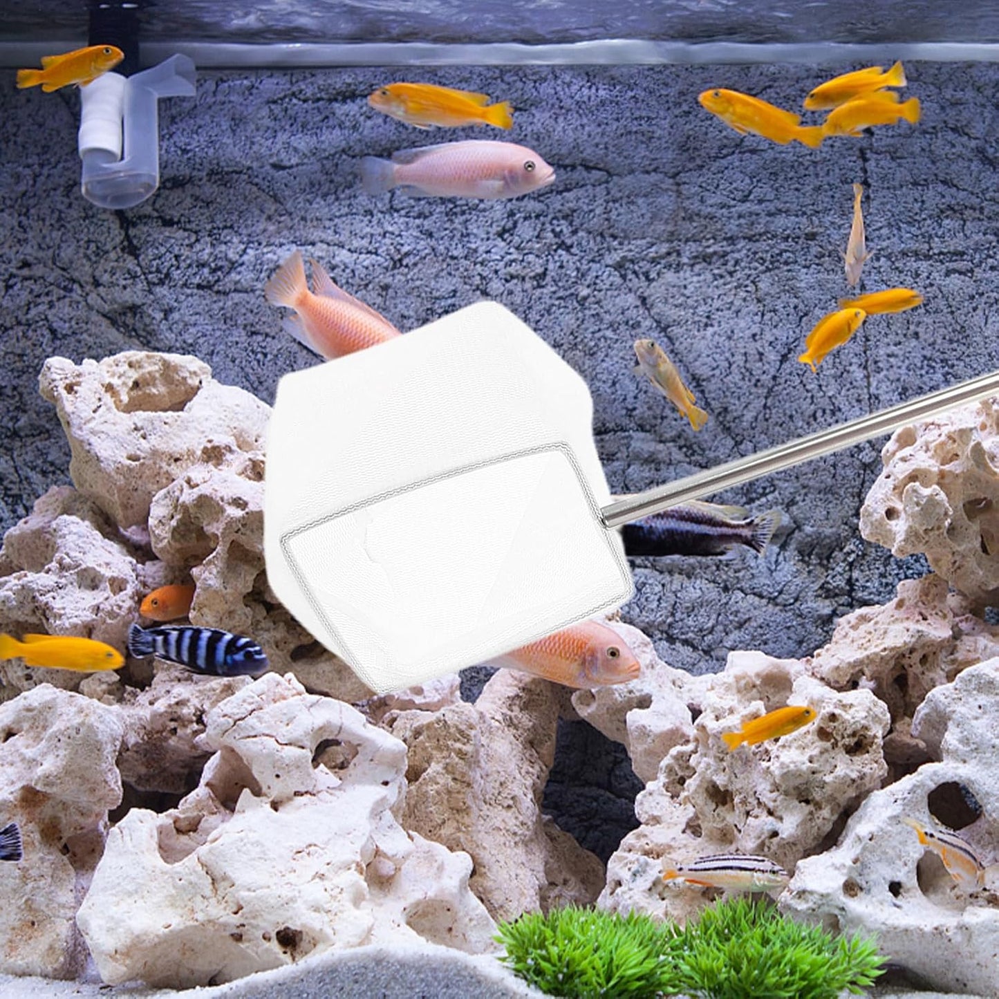 Gadpiparty Small Shrimp Net with Telescopic Handle, Portable Fine Mesh Fish Tank Net for Aquarium Maintenance, Red Mini Extendable Shrimp Catcher for Fish Tank and Pond Accessories