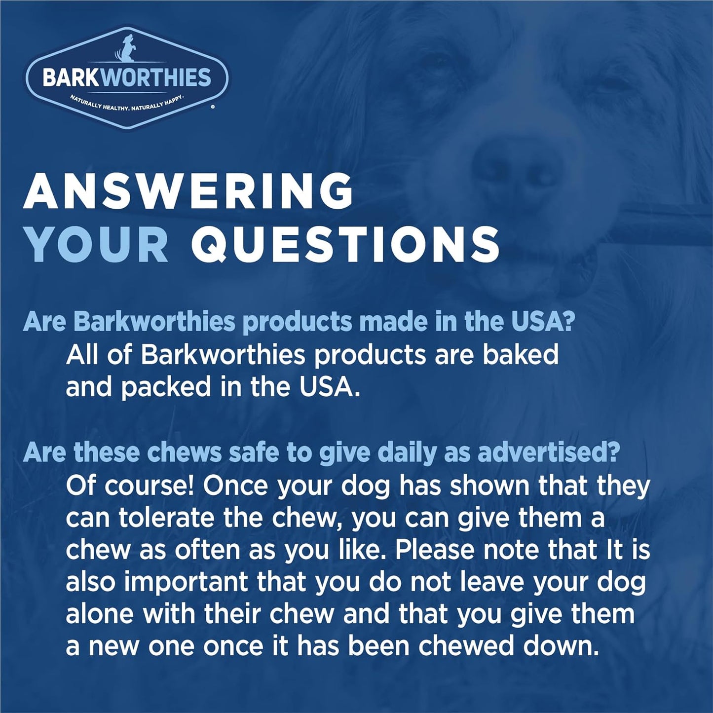 Barkworthies Peanut Butter Collagen Sticks - 6 Inch 8 Count (Pack of 1) - Flavorful, Single Ingredient, Long-Lasting