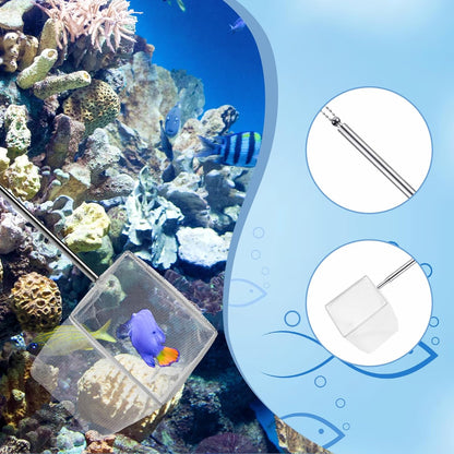 2 Pack Fish Tank Net 3 Inch Square Small Fish Net with Extendable Stainless Steel Handle Fine Mesh Shrimp Nets for Aquarium Tank Pond Bettas Debris Skimming