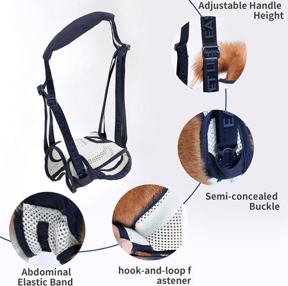Easy Pet Life Dog Sling for Back Legs, Adjustable Pet Mobility Aid，Pet Rear Leg Support Brace,Hip Support Harness to Help Lift Dogs Rear for Helps Senior and After ACL Surgery (Blue, XL)