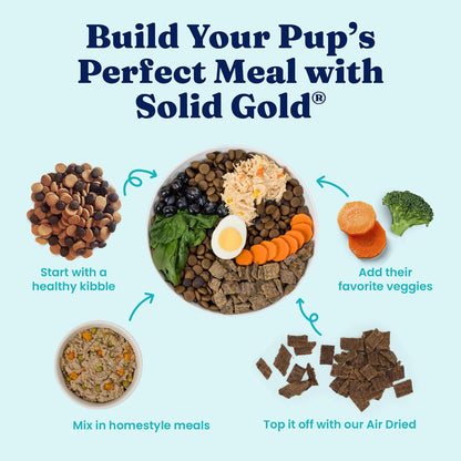 Solid Gold Homestyle Meals Wet Dog Food - Soft Food for Dogs w/Beef, Bone Broth & Superfoods for Gut Health Support - Dog Toppers for Dry Kibble - Fresh Refrigerated Full Meal Replacement - 9oz/6ct