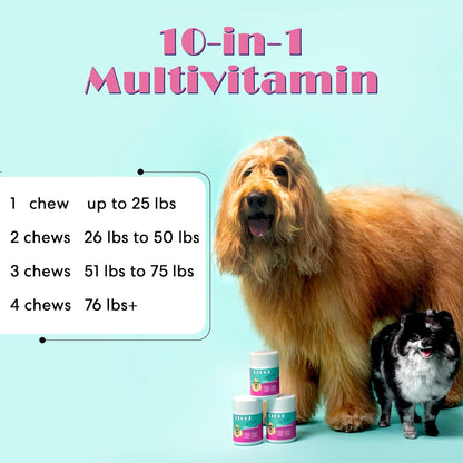 Floof by Brodie 10-in-1 Multivitamin Supplement: Dog and Puppy Vitamin with Joint Health Support MSM and Glucosamine HCL, Heart Health Coenzyme Q10, Probiotics, Collagen, Biotin - 60 Chews (6.35 oz)