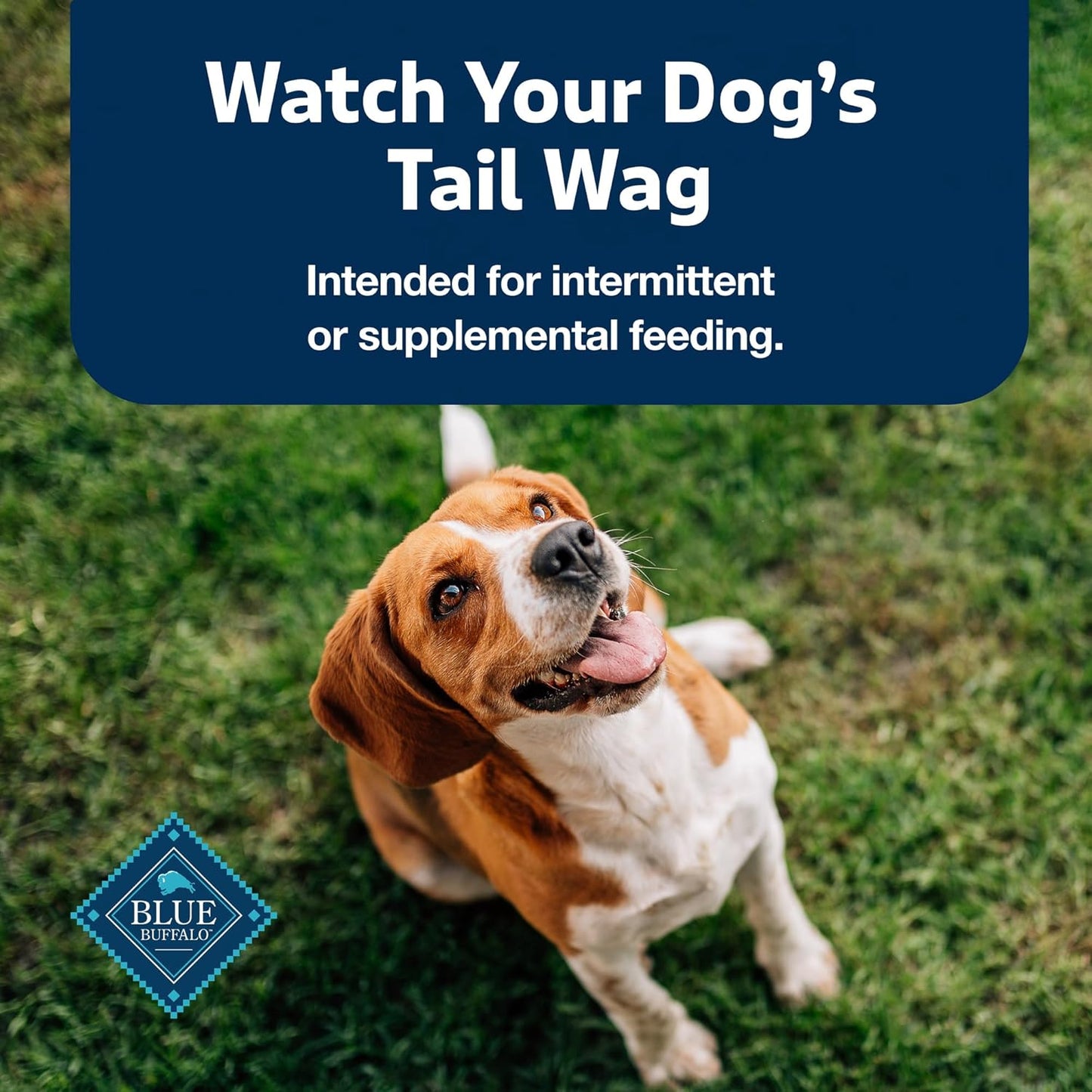 Blue Buffalo Stix Pepperoni-Style Dog Treats Made with Natural Ingredients, Beef Recipe, 13-oz Bag